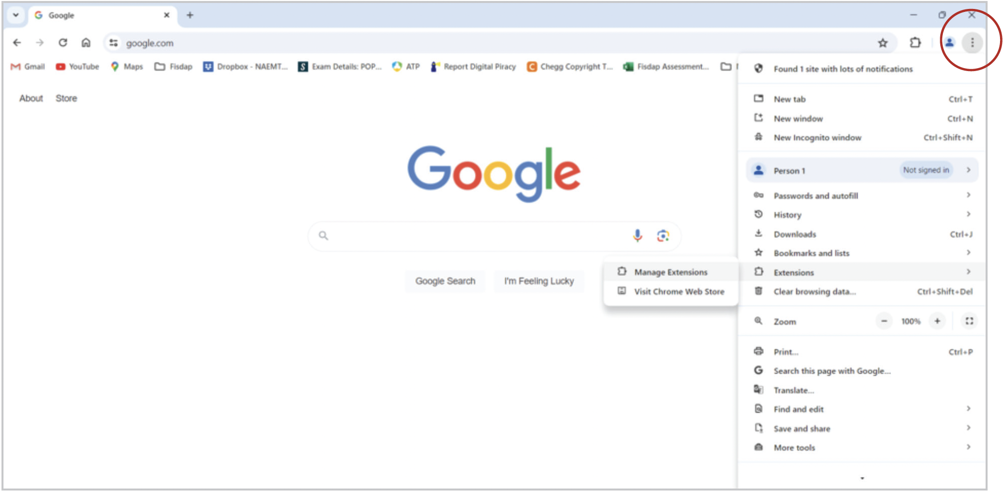 Manage Google Extensions Screenshot